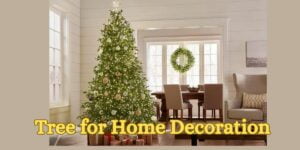 Tree for Home Decoration