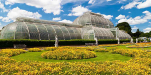 london garden trading