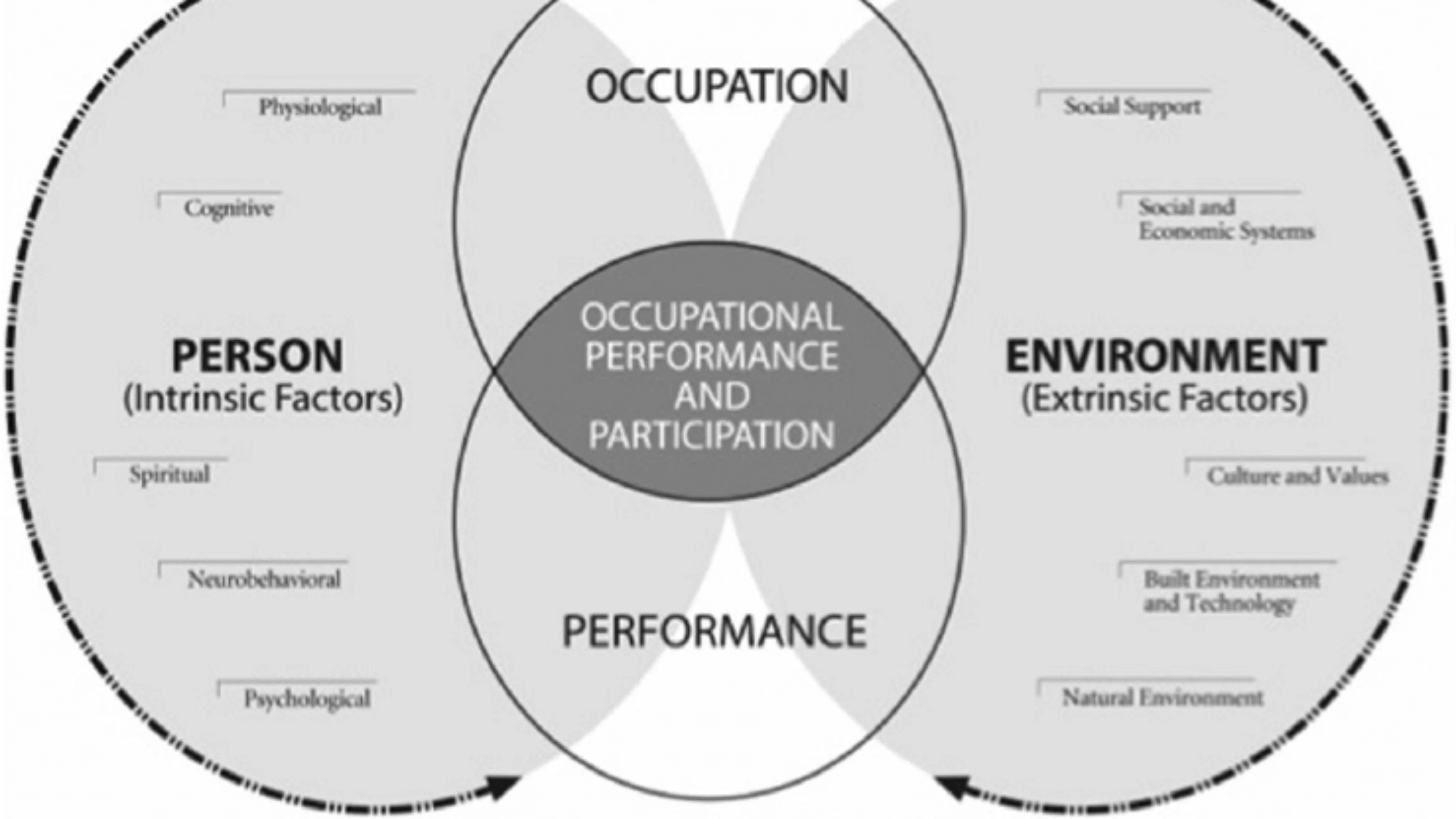 The Crucial Role of an Occupational Therapist